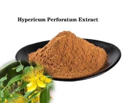 st john's wort extract powder