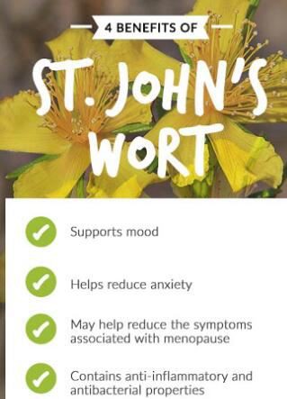 st john's wort benefits