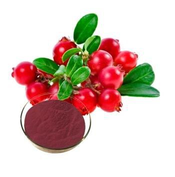 cranberry fruit extract