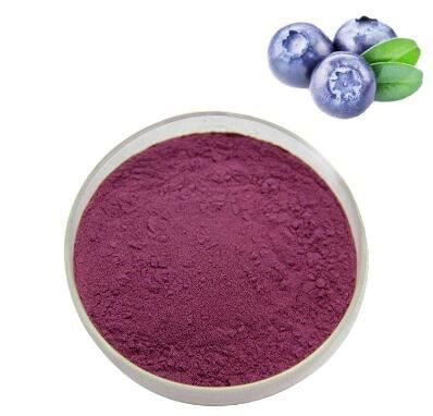 Bilberry Powder BULK