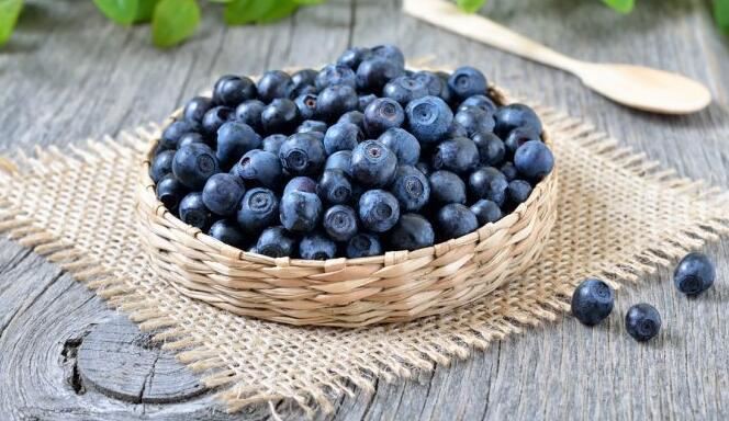 Bilberry extract powder benefits