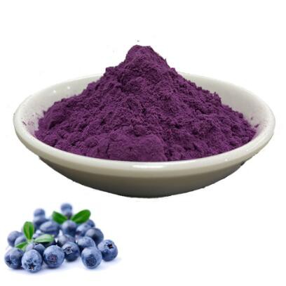 blueberry powder organic