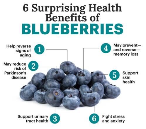 blueberry extract powder benefits