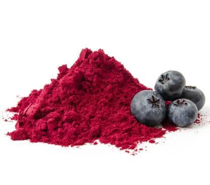 blueberry powder bulk