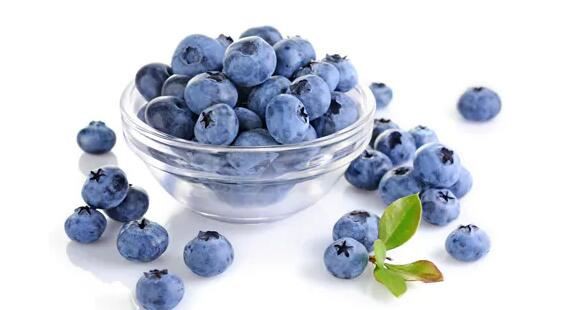 Bulk Blueberry Powder Benefits