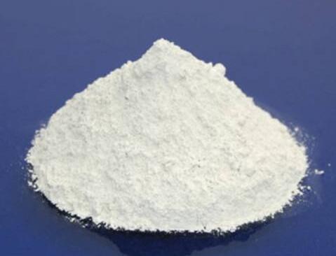 papain powder