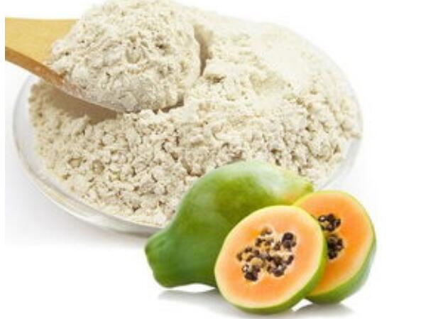 papain powder-1