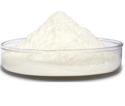 papain powder supplier