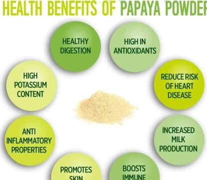 organic papaya powder BENEFITS