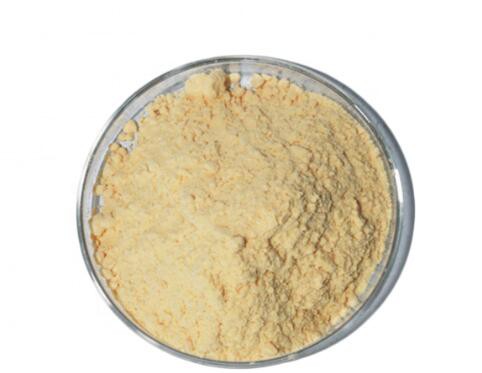 papaya fruit extract powder