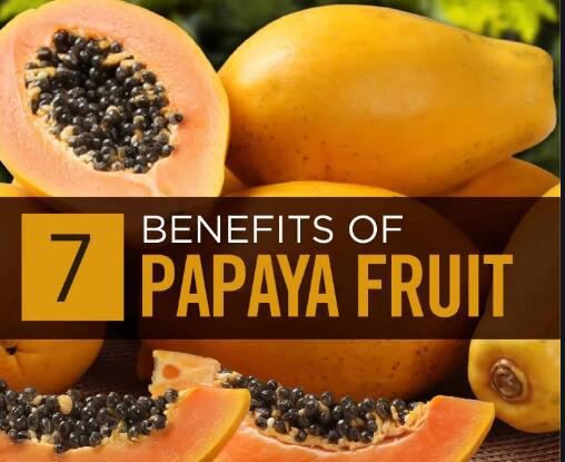 papaya fruit powder benefits