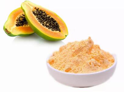 Papaya Fruit Powder Application