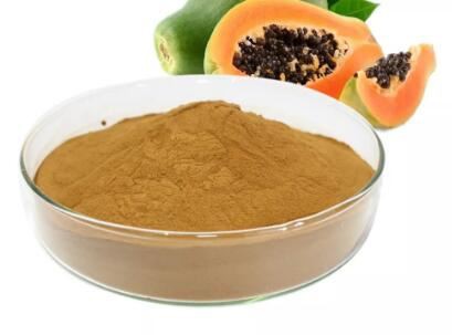 papaya seeds powder