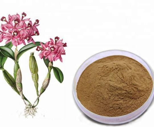 dendrobium nobile stem extract