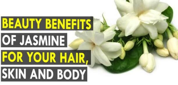 Jasmine Flower Benefits