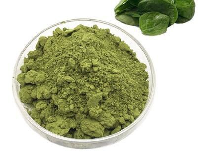 organic chlorophyll powder