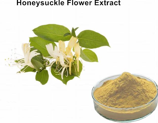 honeysuckle flower powder