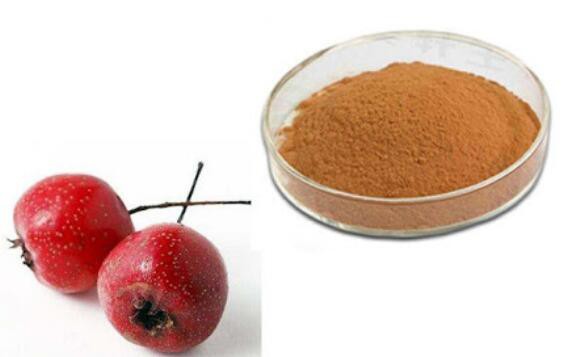 standardized hawthorn extract