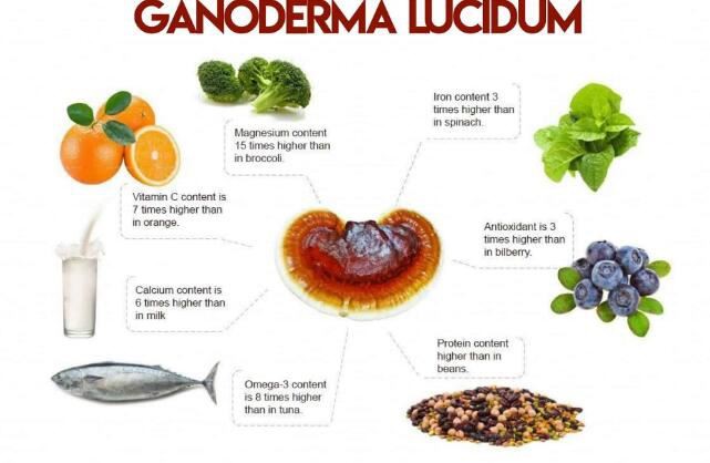 ganoderma benefits