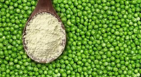 Pea protein powder benefits