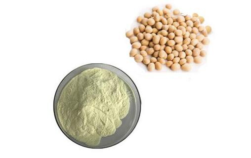 soy protein isolate