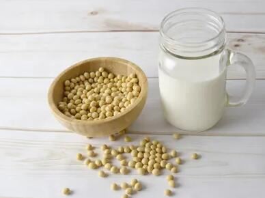 soy protein benefits