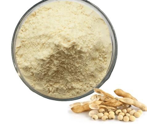 soybean protein powder