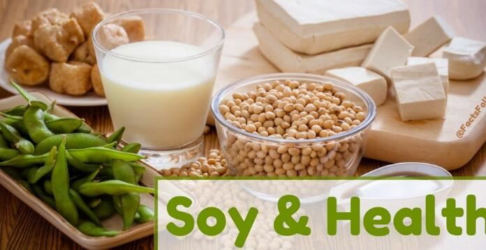 soy isoflavones benefits