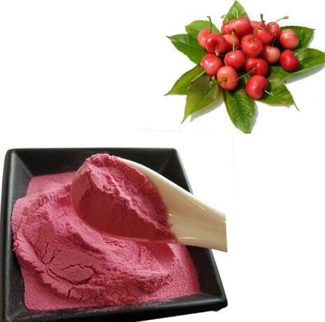 organic acerola cherry powder bulk