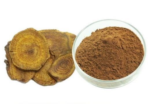 siberian rhubarb root extract