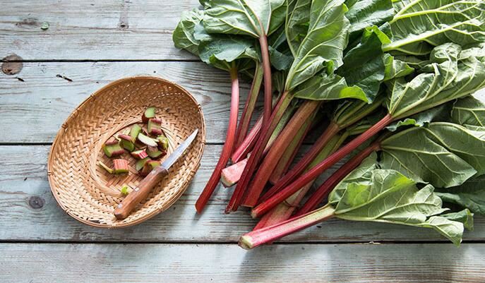 Siberian Rhubarb Benefits