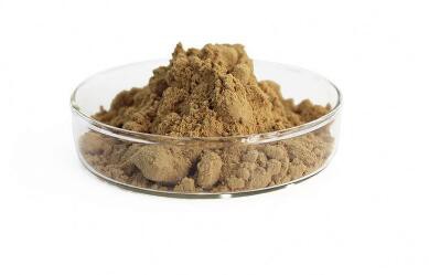 acacia catechu powder