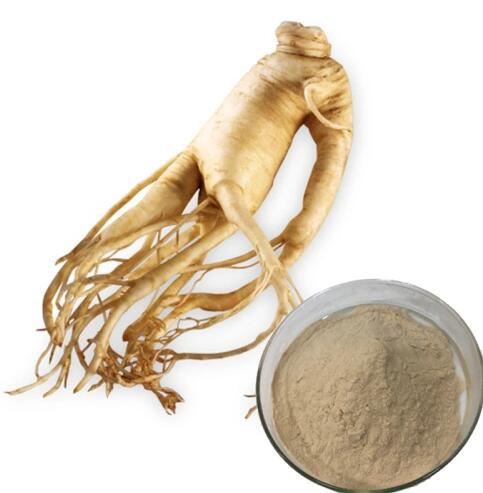 asian ginseng root extract