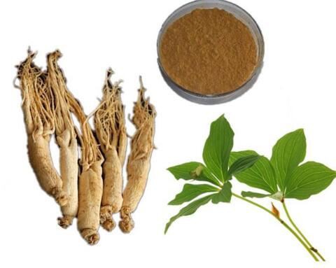 bulk ginseng extract