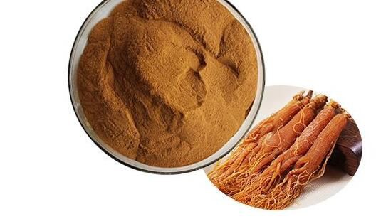 korean red ginseng powder