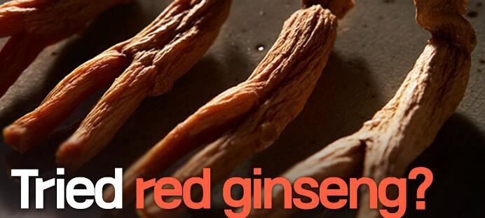 Red Ginseng powder benefits