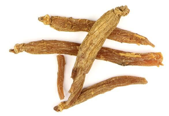 korean red ginseng root extract