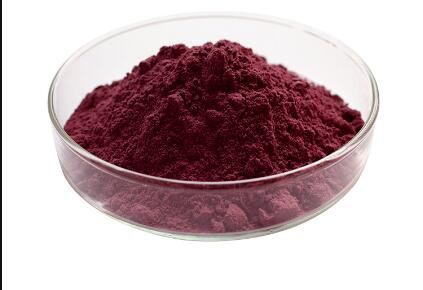 blackcurrant powder