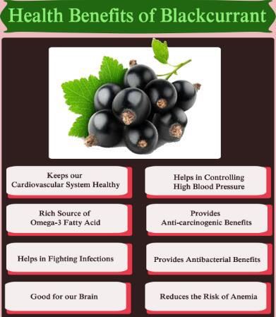 blackcurrant benefits