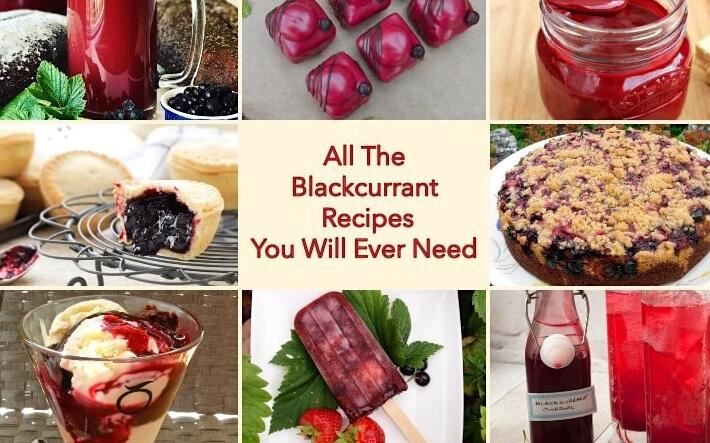 blackcurrant uses