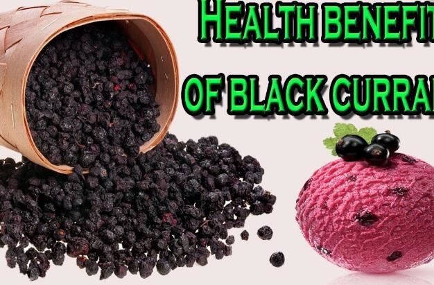 Black Currant Benefits