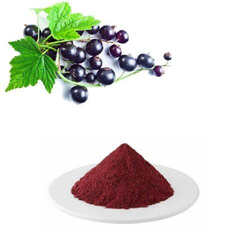 black currant fruit extract