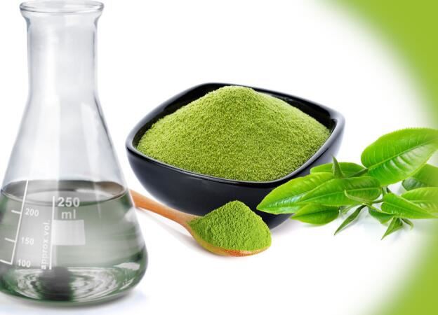 Green Tea Extract Application