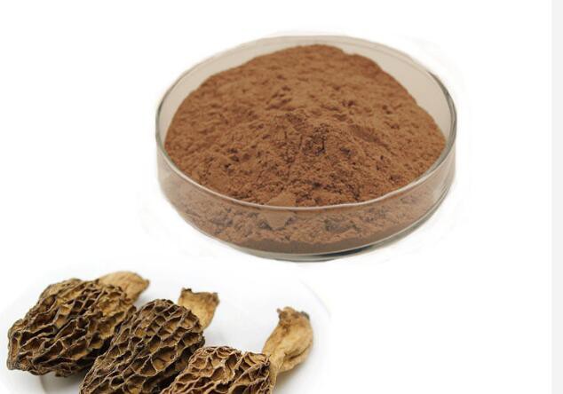 morel mushroom powder