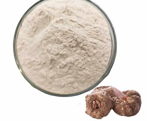 organic konjac powder