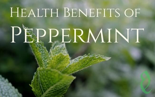 peppermint leaf benefits