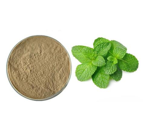 peppermint extract powder