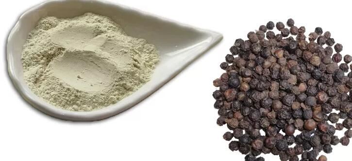 piperine extract powder