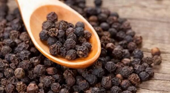 Piperine extract Benefits