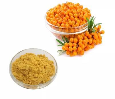 buy sea buckthorn powder